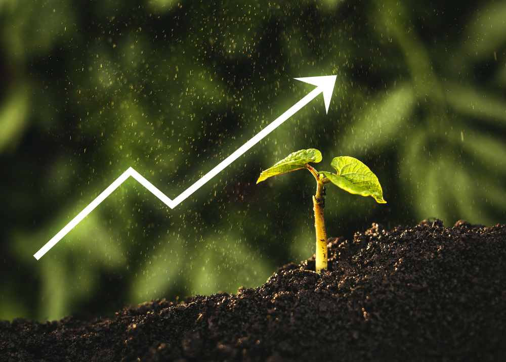 Mehr über den Artikel erfahren Was ist ein Purpose Unternehmen – und wie baue ich eins auf?